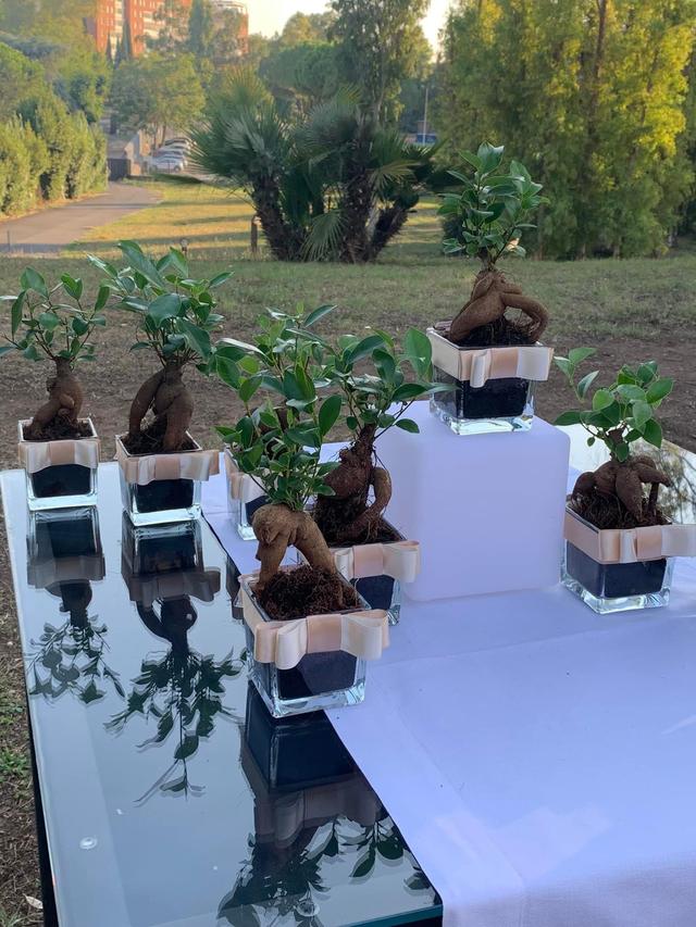 La Boutique dei Tuoi Eventi - 3