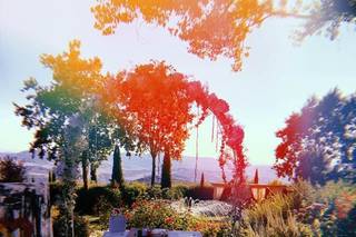 Ci vuole un fiore di Nardi Francesca - 17