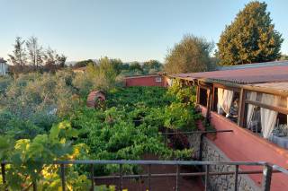 Villaggio Martini - 6