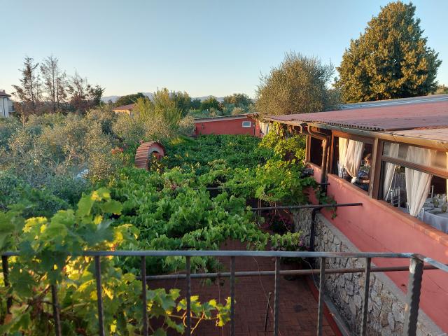 Villaggio Martini - 1