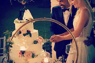 Verde Oliva Design - 14