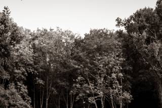 Momaxphoto - 16