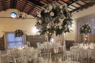 Tenuta dell'Olmo - 27