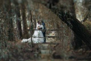 Luci Parallele Studio - 6