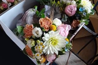 Colombo Fiori & Piante - 12