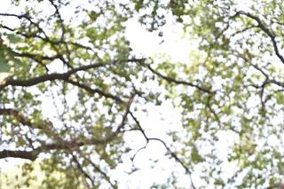 Lukino’s Saloon - 6