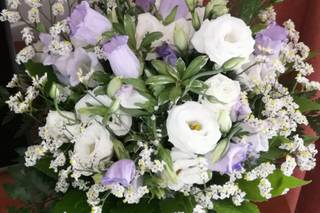 D'Arrigo Fiori - 5