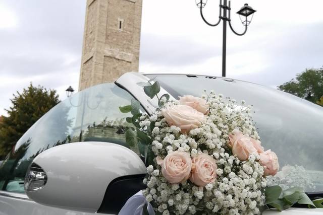 Il Maggiolone New Beetle di Flavio 5