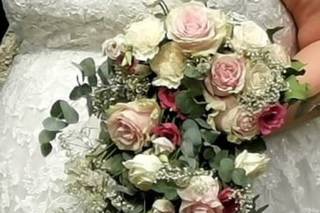 Cosmea - Laboratorio Fiorito - 16