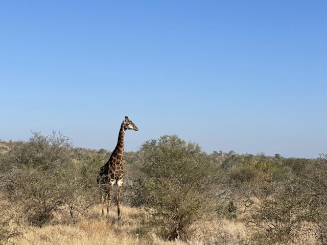 Evolution Travel - 4