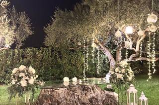 Casale Amato - 8