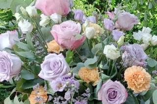 Fiori Colori e Forme - 1