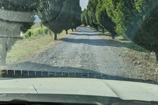 Tenuta La Meirana - 24