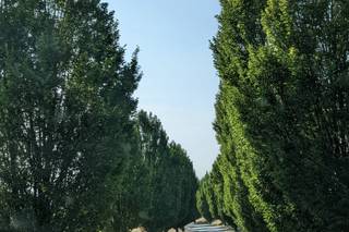 Tenuta La Meirana - 25