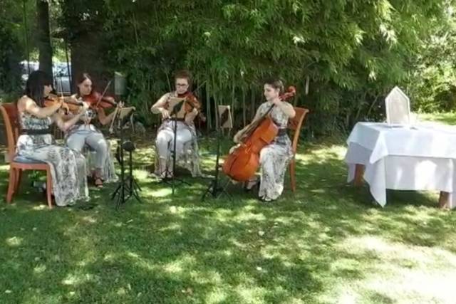 Quartetto Sharareh 3