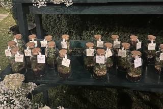 Fleur Garden Trastevere - 13