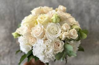 Regini Fiori e Piante - 18