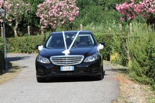 Strafella Alessandro - 8