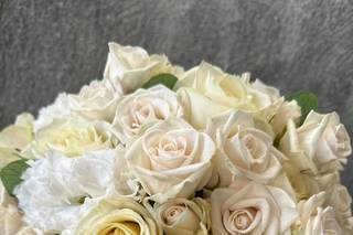 Regini Fiori e Piante - 19