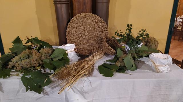 Agriturismo I Sapori dei Castelli Romani - 1