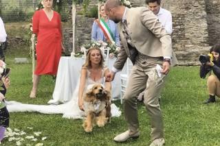 BowPawTie Accessori per Cani - 13