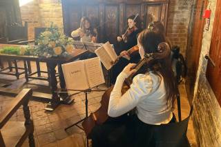 Archidee Strings - 9