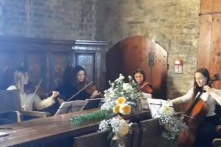 Archidee Strings - 10