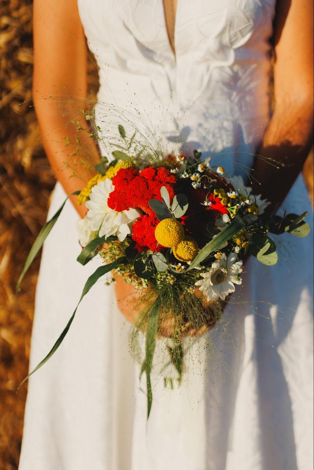 Fiorajò - Piante e Fiori - 2