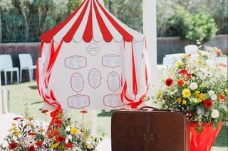 Fiorajò - Piante e Fiori - 7