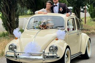 The Wedding Beetle - 21