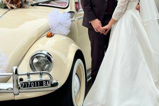 The Wedding Beetle - 22