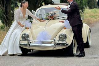 The Wedding Beetle - 23
