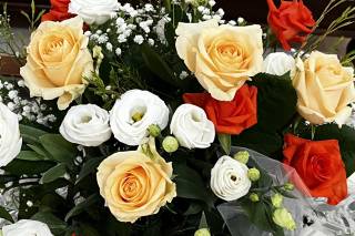 La Primavera Floral Designer - 13