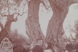 Villa Alma Plena - 11