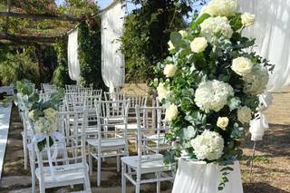 Piante e Fiori di Astolfi Italia - 14
