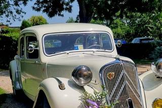 Autoservizi dei Colli - 10