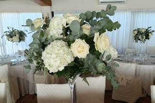 Piante e Fiori di Astolfi Italia - 16