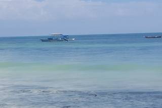 Gila Travel Specialist - 18