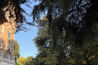 Villa Biancardi - 5