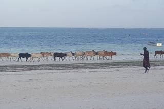 Gila Travel Specialist - 19