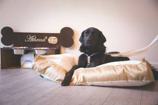 Dog sitter per Matrimoni Athena - 9