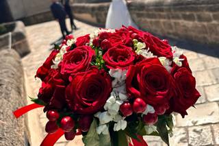 Anna Ammirato Flowers - 5