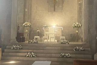 Il Tulipano Nero Elegance - 17