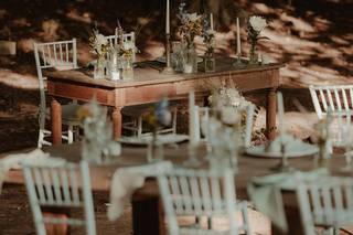 Colombo Fiori & Piante - 19