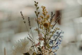 Colombo Fiori & Piante - 20