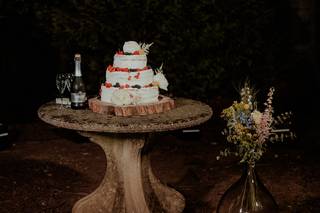 Colombo Fiori & Piante - 21