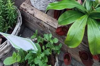Garden Longoni - 8