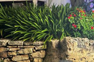 Ital Sud Confezioni - 11