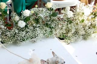 Wedding Planners and More - 7