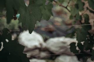 Tenuta Casa Virginia - 5